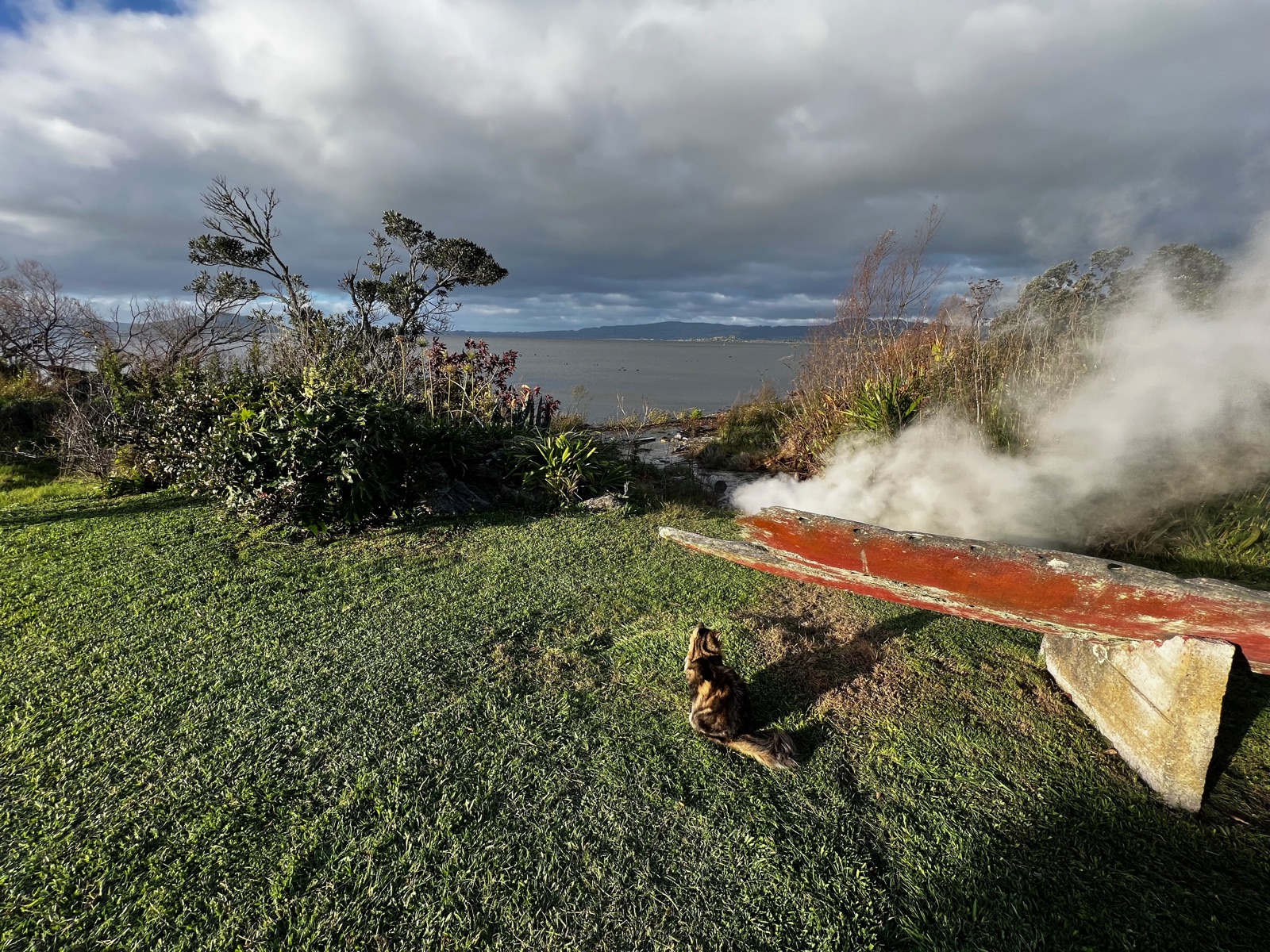 Geothermal steam drifting over the Lake Rotorua shore under a moody sky