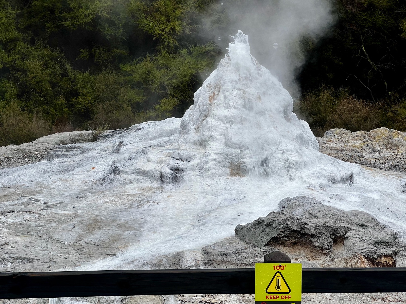 Lady Knox Geyser erupting, foam cascading down the silica cone